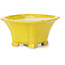Pot à bonsaï carré jaune par Seto - 95 x 95 x 50 mm