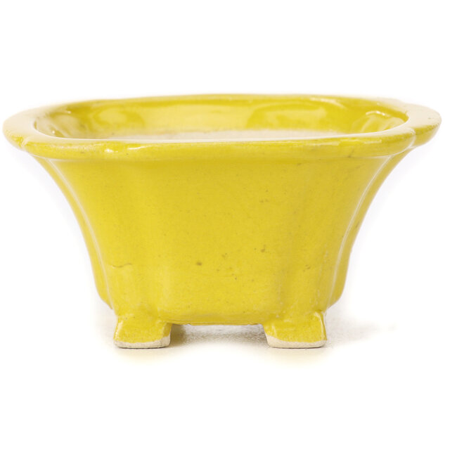 Pot à bonsaï carré jaune par Seto - 95 x 95 x 50 mm