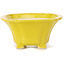 Pot à bonsaï carré jaune par Seto - 95 x 95 x 50 mm