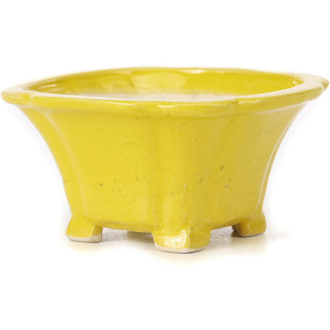 Quadratische gelbe Bonsaischale von Seto - 95 x 95 x 50 mm