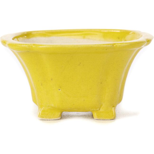 Vaso bonsai quadrato giallo di Seto - 95 x 95 x 50 mm