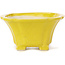 Pot à bonsaï carré jaune par Seto - 95 x 95 x 50 mm
