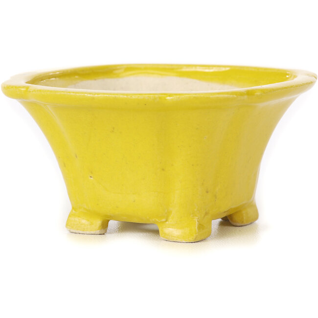 Square yellow bonsai pot by Seto - 95 x 95 x 50 mm
