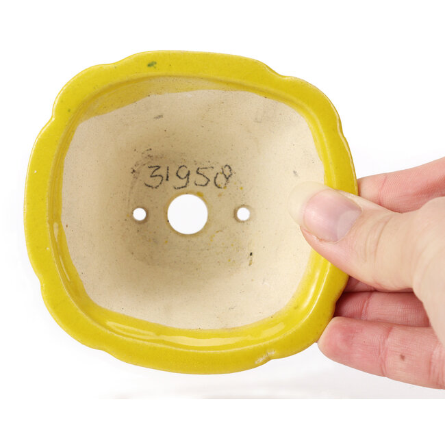 Square yellow bonsai pot by Seto - 95 x 95 x 50 mm