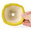 Pot à bonsaï carré jaune par Seto - 95 x 95 x 50 mm