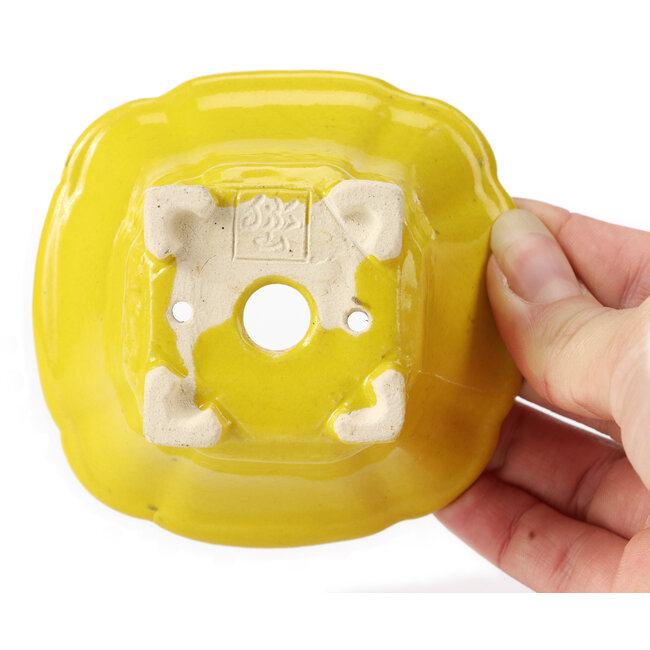 Pot à bonsaï carré jaune par Seto - 95 x 95 x 50 mm