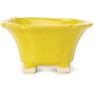 Seto Pot à bonsaï carré jaune 95 mm par Seto, Japon