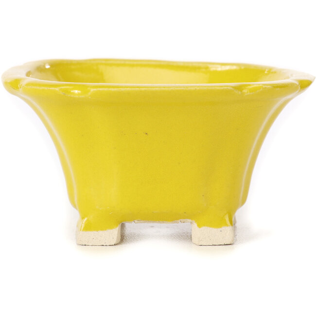 Pot à bonsaï carré jaune par Seto - 95 x 95 x 50 mm