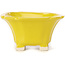 Pot à bonsaï carré jaune par Seto - 95 x 95 x 50 mm