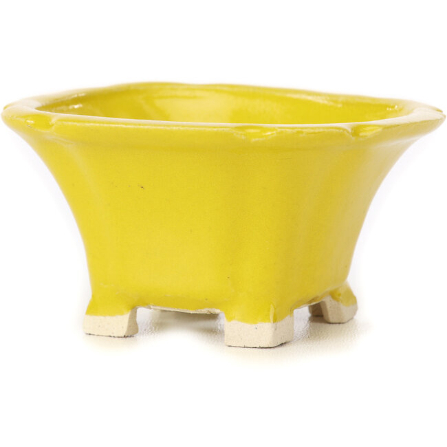 Square yellow bonsai pot by Seto - 95 x 95 x 50 mm