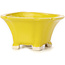 Pot à bonsaï carré jaune par Seto - 95 x 95 x 50 mm