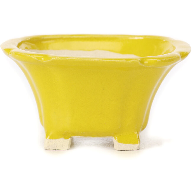 Maceta de bonsái amarilla cuadrada de Seto - 95 x 95 x 50 mm