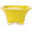 Pot à bonsaï carré jaune par Seto - 95 x 95 x 50 mm