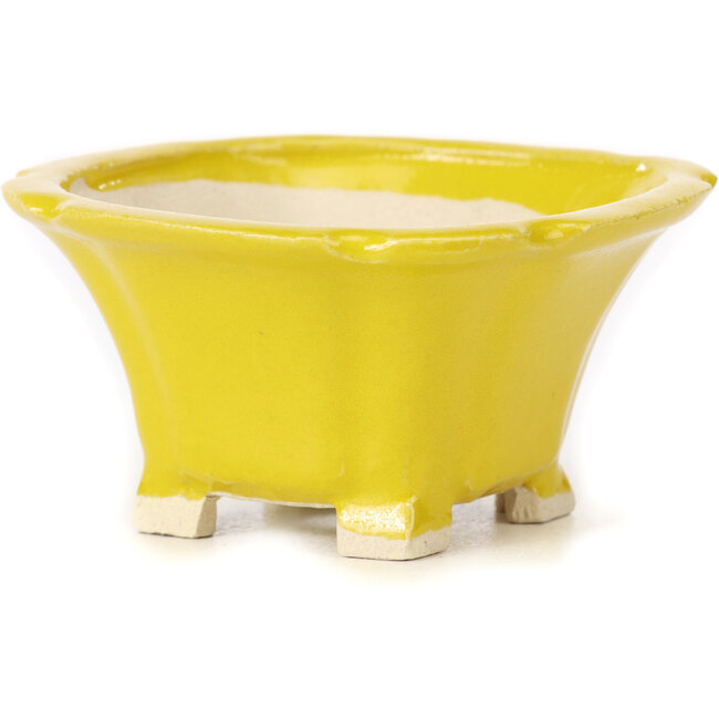 Vaso bonsai quadrato giallo di Seto - 95 x 95 x 50 mm