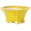 Pot à bonsaï carré jaune par Seto - 95 x 95 x 50 mm
