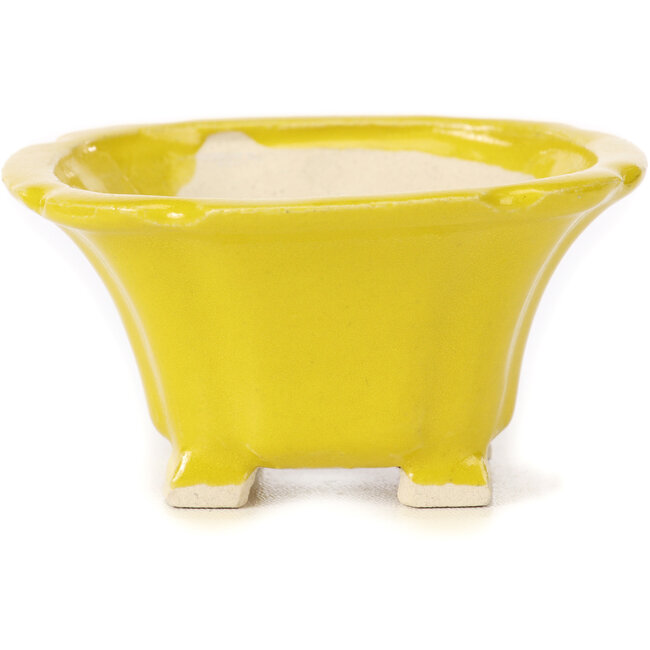 Vaso bonsai quadrato giallo di Seto - 95 x 95 x 50 mm