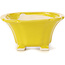 Pot à bonsaï carré jaune par Seto - 95 x 95 x 50 mm