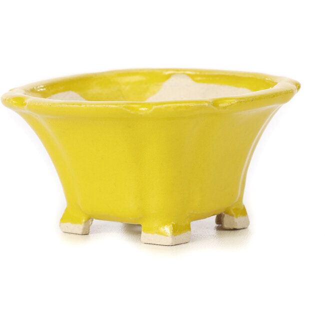 Square yellow bonsai pot by Seto - 95 x 95 x 50 mm