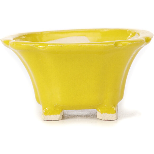 Pot à bonsaï carré jaune par Seto - 95 x 95 x 50 mm