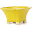 Pot à bonsaï carré jaune par Seto - 95 x 95 x 50 mm