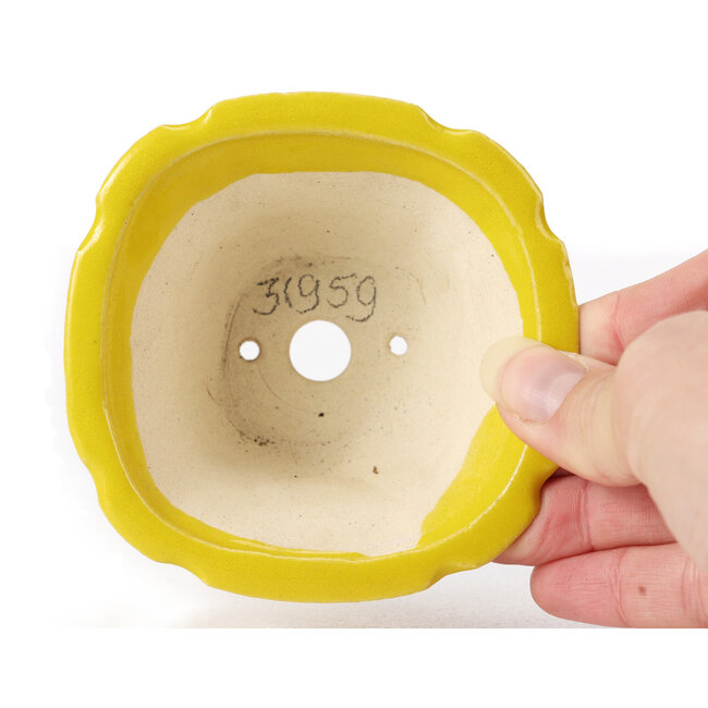 Vierkante gele bonsaipot van Seto - 95 x 95 x 50 mm