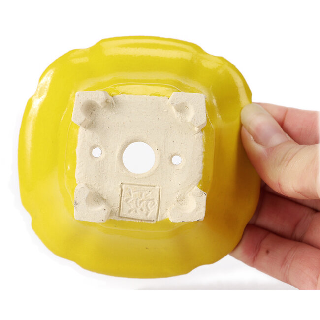 Vaso bonsai quadrato giallo di Seto - 95 x 95 x 50 mm