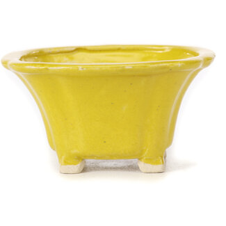 Seto Pot à bonsaï carré jaune 90 mm par Seto, Japon