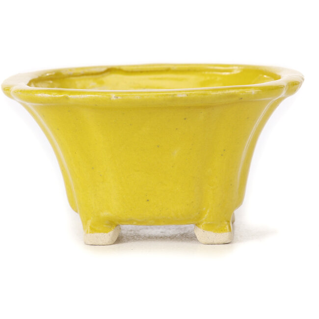 Square yellow bonsai pot by Seto - 90 x 90 x 50 mm