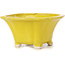 Pot à bonsaï carré jaune par Seto - 90 x 90 x 50 mm