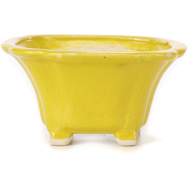 Vierkante gele bonsaipot van Seto - 90 x 90 x 50 mm
