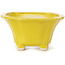 Pot à bonsaï carré jaune par Seto - 90 x 90 x 50 mm