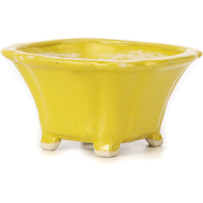 Vaso bonsai quadrato giallo di Seto - 90 x 90 x 50 mm