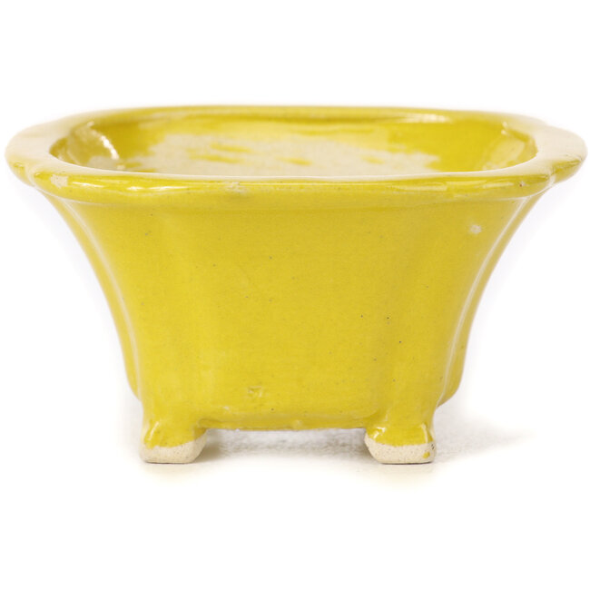 Quadratische gelbe Bonsaischale von Seto - 90 x 90 x 50 mm