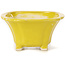 Pot à bonsaï carré jaune par Seto - 90 x 90 x 50 mm