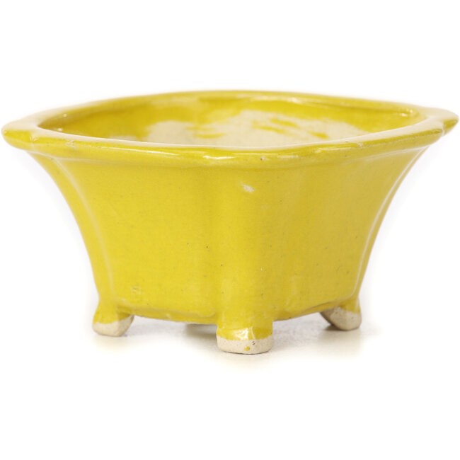Vierkante gele bonsaipot van Seto - 90 x 90 x 50 mm