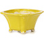 Pot à bonsaï carré jaune par Seto - 90 x 90 x 50 mm