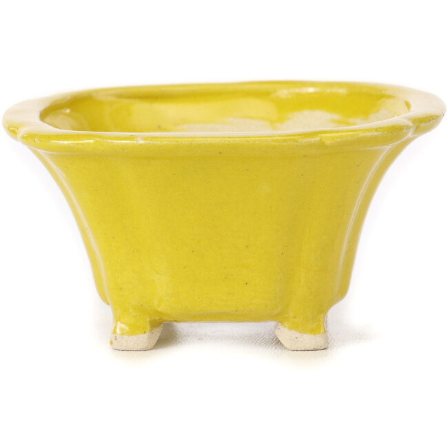Vierkante gele bonsaipot van Seto - 90 x 90 x 50 mm