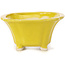 Pot à bonsaï carré jaune par Seto - 90 x 90 x 50 mm