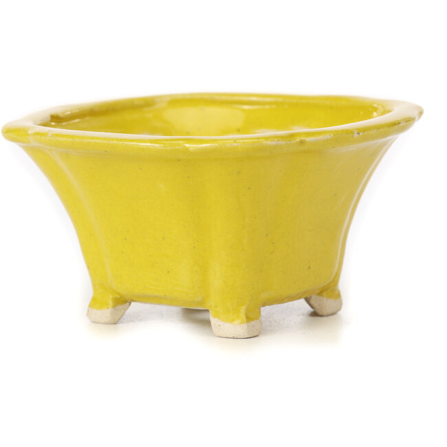 Vaso bonsai quadrato giallo di Seto - 90 x 90 x 50 mm