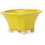 Pot à bonsaï carré jaune par Seto - 90 x 90 x 50 mm