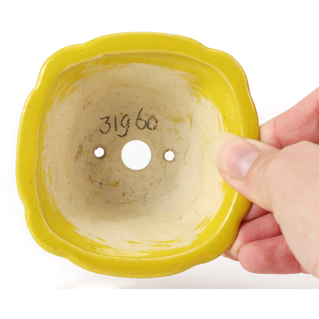 Vierkante gele bonsaipot van Seto - 90 x 90 x 50 mm