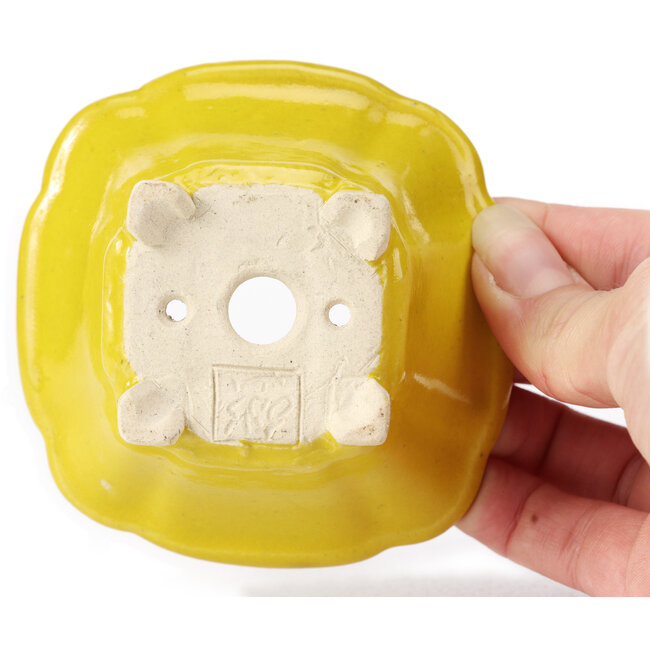 Pot à bonsaï carré jaune par Seto - 90 x 90 x 50 mm