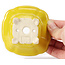 Pot à bonsaï carré jaune par Seto - 90 x 90 x 50 mm