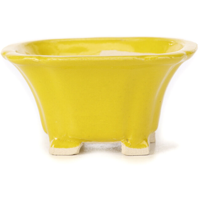 Pot à bonsaï carré jaune par Seto - 90 x 90 x 50 mm