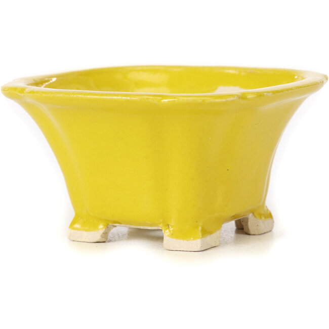 Quadratische gelbe Bonsaischale von Seto - 90 x 90 x 50 mm