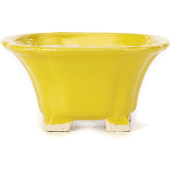Square yellow bonsai pot by Seto - 90 x 90 x 50 mm