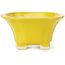 Pot à bonsaï carré jaune par Seto - 90 x 90 x 50 mm