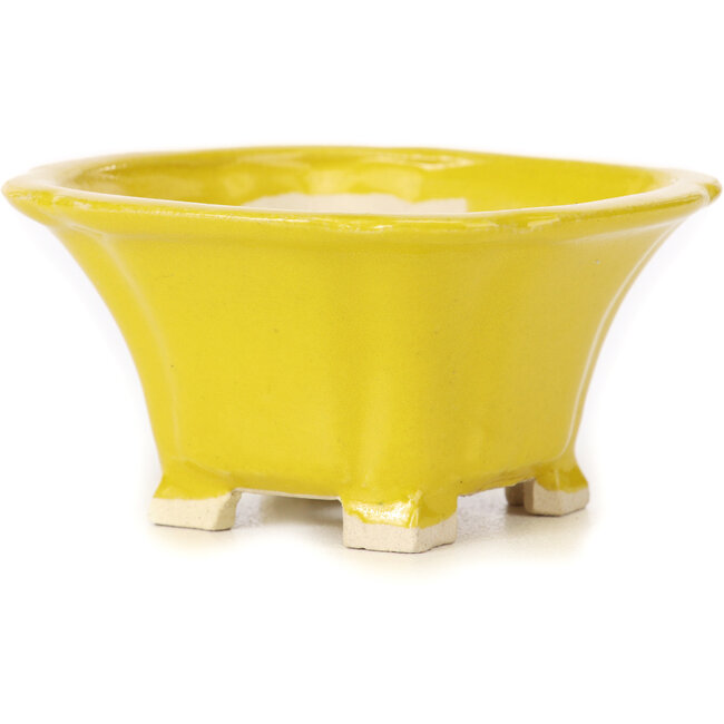 Maceta de bonsái amarilla cuadrada de Seto - 90 x 90 x 50 mm