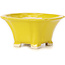 Pot à bonsaï carré jaune par Seto - 90 x 90 x 50 mm
