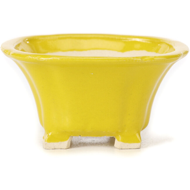 Quadratische gelbe Bonsaischale von Seto - 90 x 90 x 50 mm